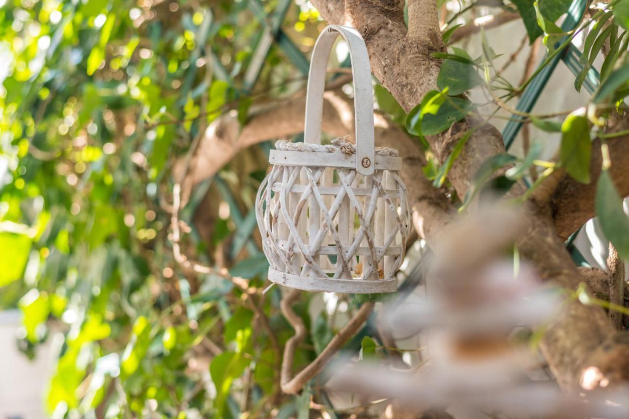 Medousa Daire Adamantas (Milos)